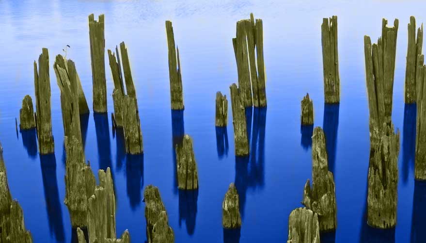 Colorized Wood Pilings